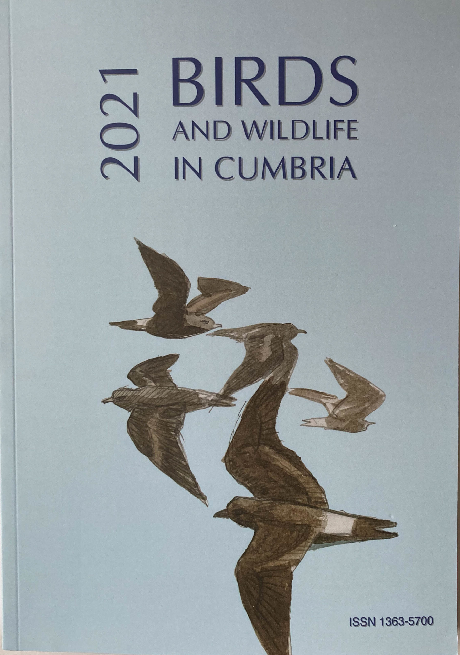 Bird and Wildlife in Cumbria 2021