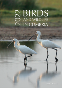 Birds and Wildlife in Cumbria 2022